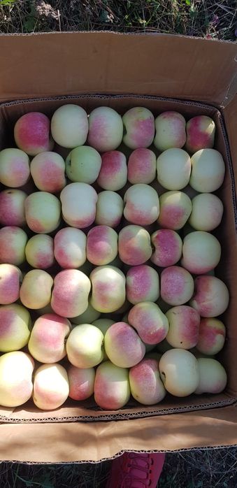 Яблочный сад, частная собственность