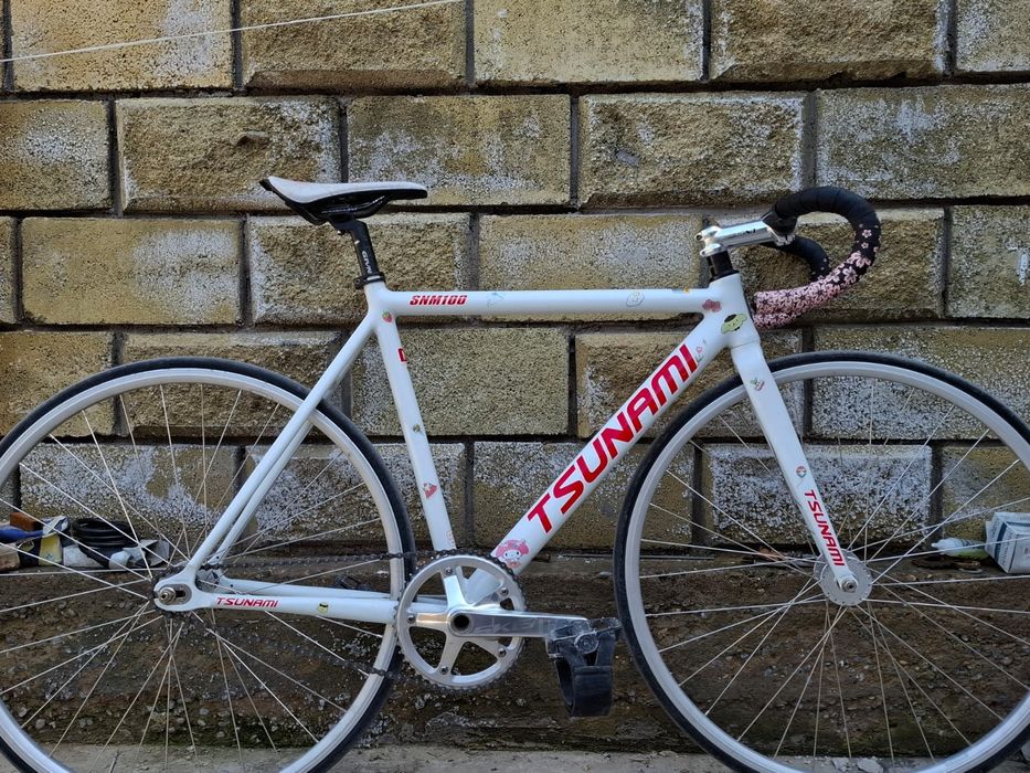 Фикус Тсунами снм 100