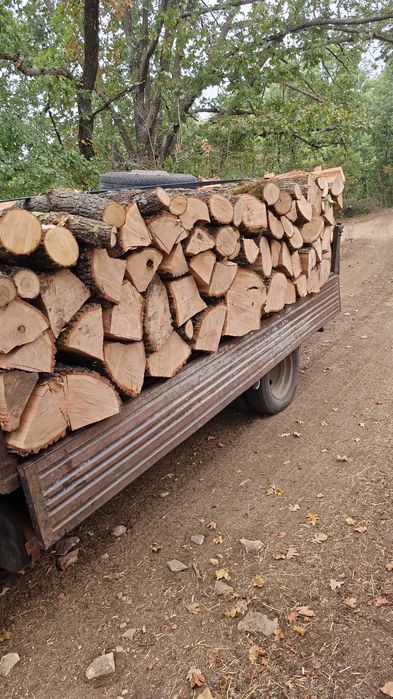 Lemn de foc esenta tare si moale