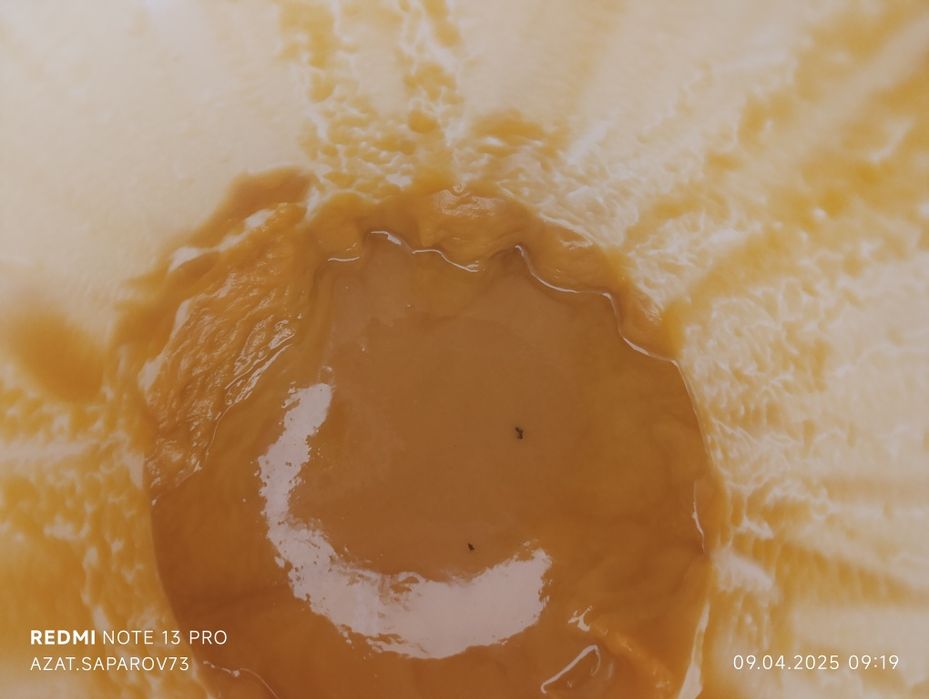 Мёд разнотравье и подсолнуха