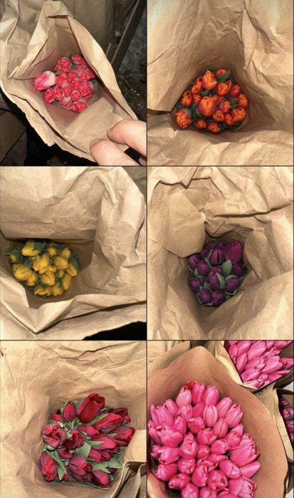 Свежие тюльпаны оптом от 100 шт