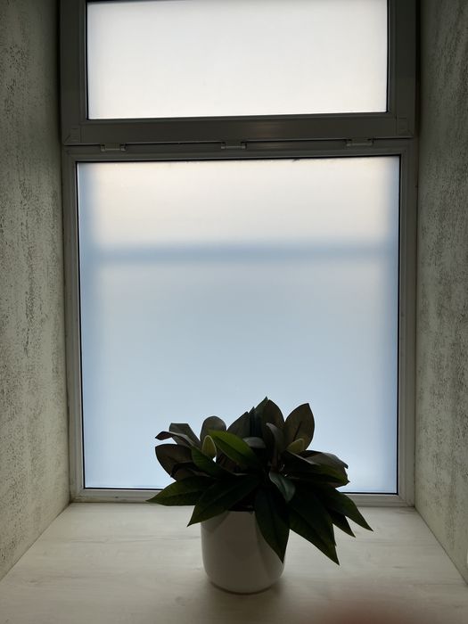 Тонировка окон, зданий