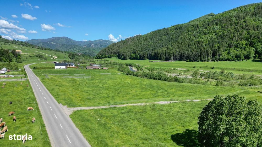 Teren intravilan In Zarnesti zona Plaiul Foii, asfalt si priveliste