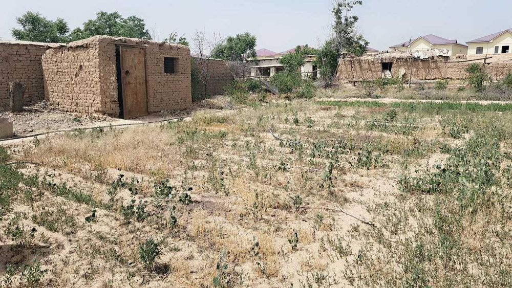 Bo'sh turgan 8 sotox tomorqa sotiladi