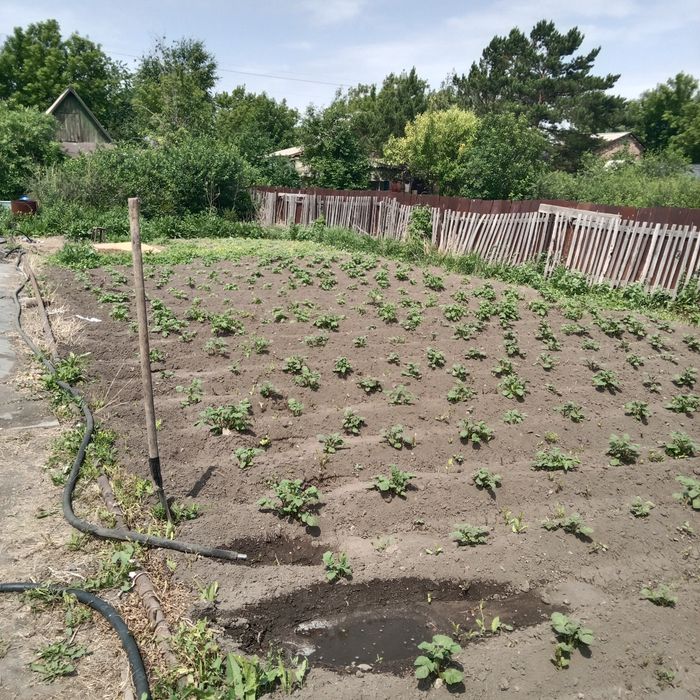 Продам дачу на Черёмушки