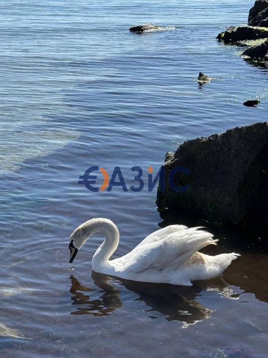 Апартамент с 1 спалня в сграда без такса поддръжка на първа линия море