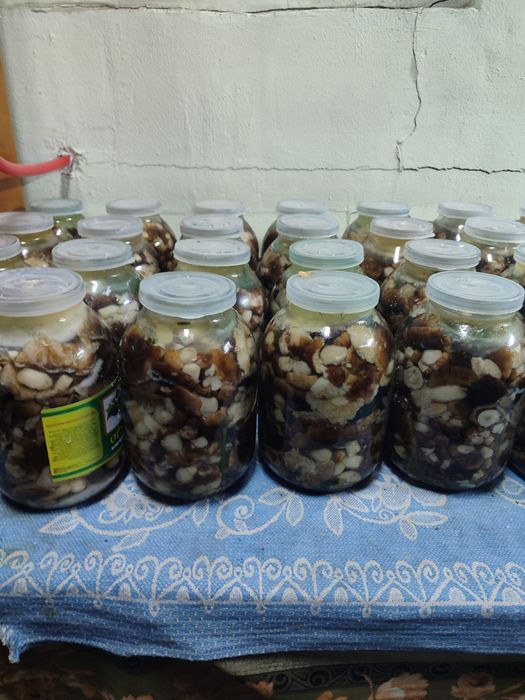 Продам грибы валуи и грузди