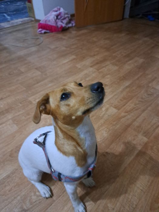 Девочка ище мальчика