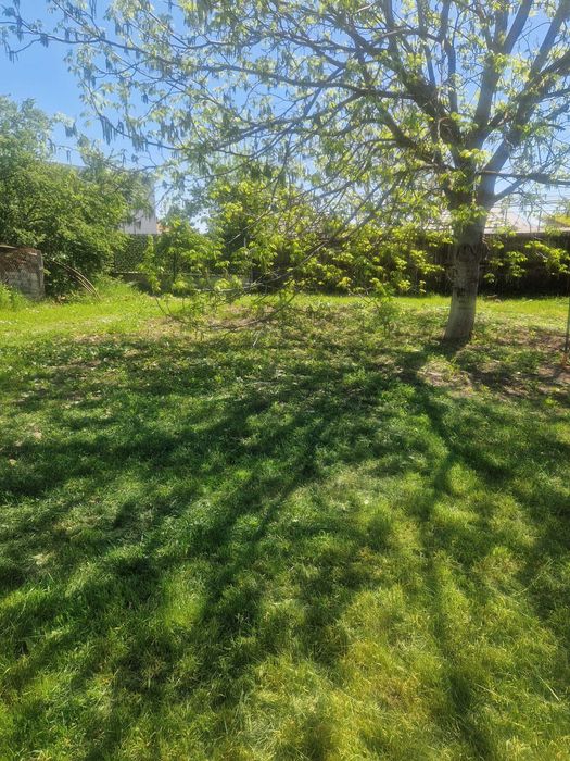 Vand casa cu teren de 900 m² Pret negociabil