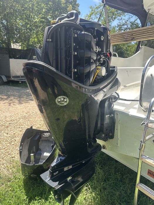 mercury 100 hp din 2016