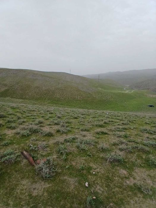 Yashil tabiatga sayohat (mayofka) xizmati