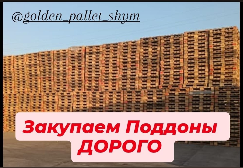 Закупаем ПОДДОНЫ.