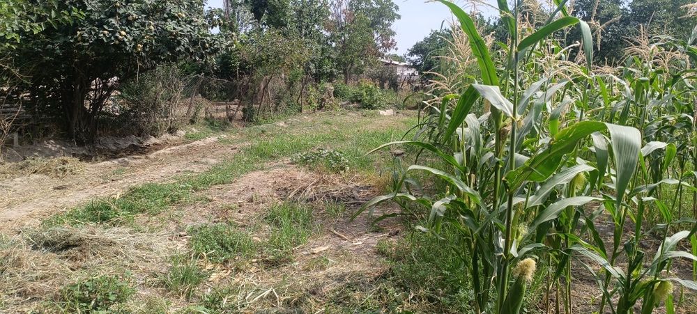 Yer sotiladi 4 sotok