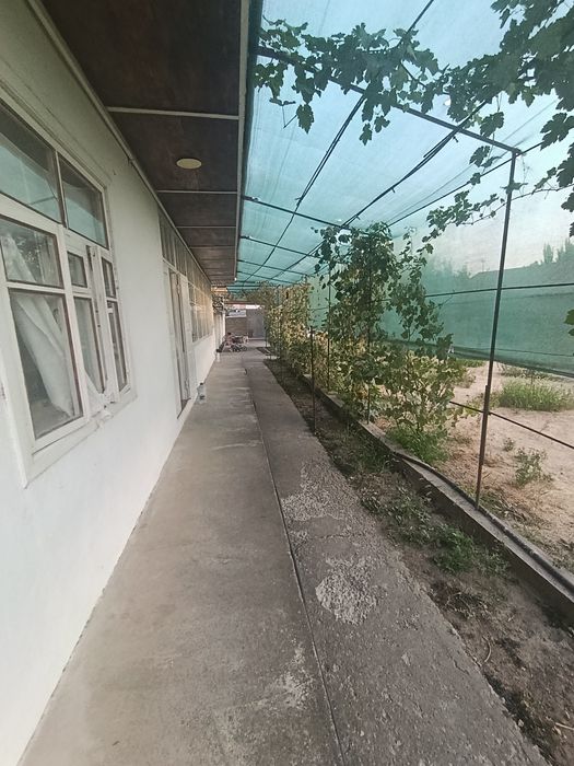 Дом участок дача 87$