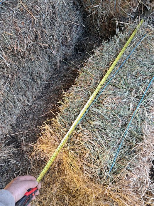 Baloți de vânzare sau la schimb cu animale