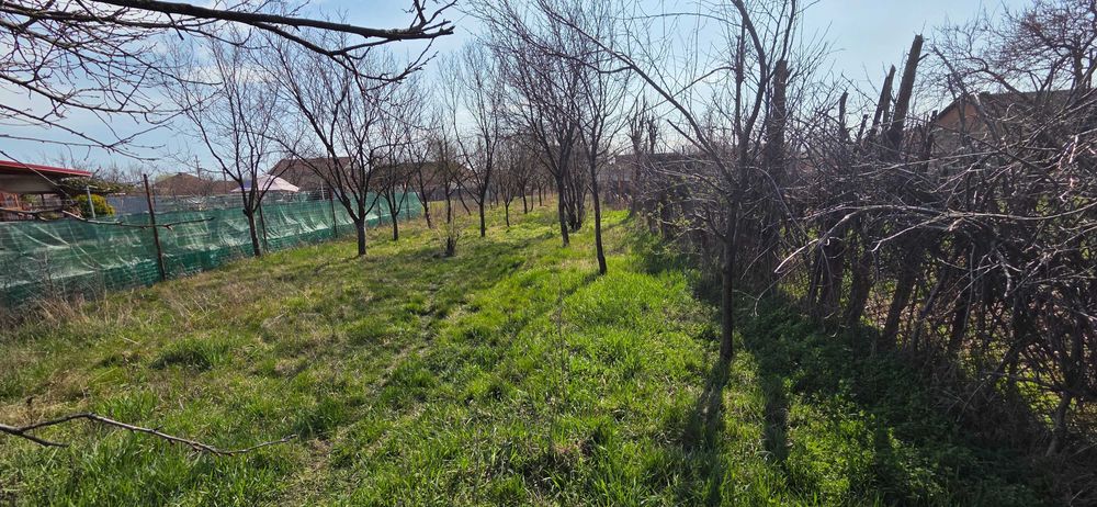 Teren 528 mp Bujac – între case, utilități la stradă - Proprietar