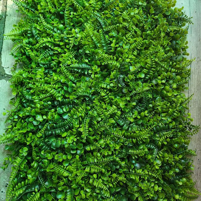 Порно күйеу мен әйел ойнайды