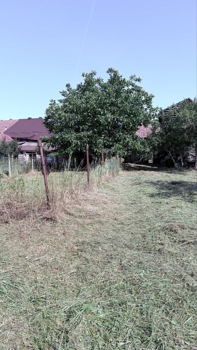 Vanzare Casa cu teren 1450 mp Ortelec