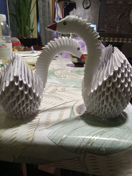 Qogʻoz oqqushlar sotiladi