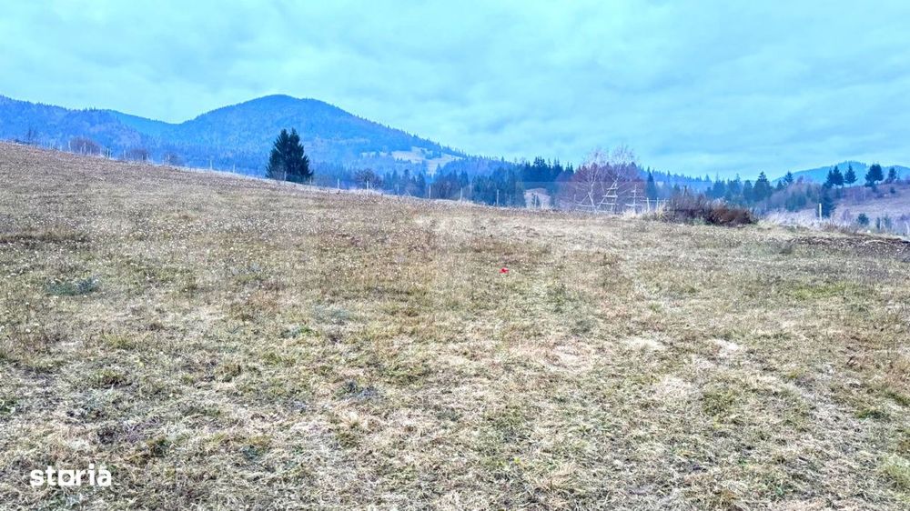 Vand 2500 Mp De Teren Intravilan La Colibita