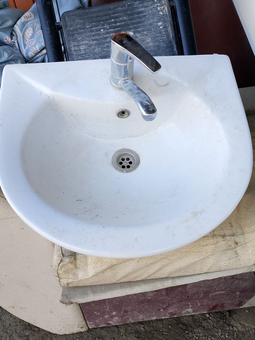 Раковина тюльпан