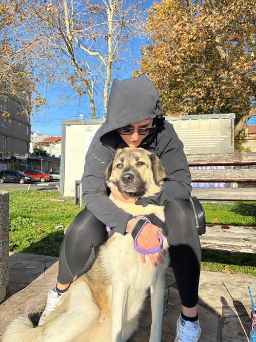 Подарява се спешно