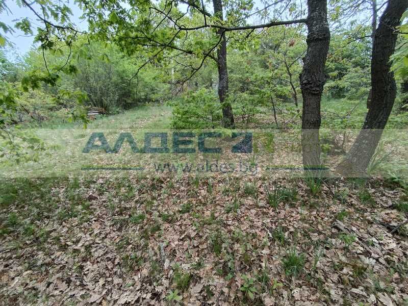 Продава се Парцел в с. Царичина, Област София-област - 1003 кв.м за 30 €/кв.м - Снимка #7