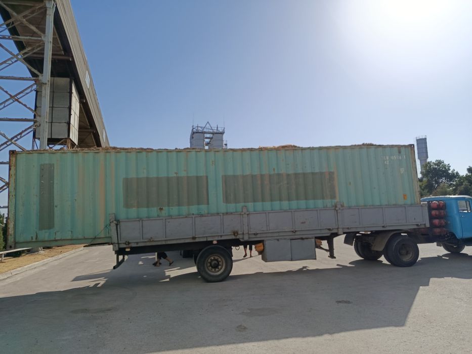 Zil shalanda yili 1991