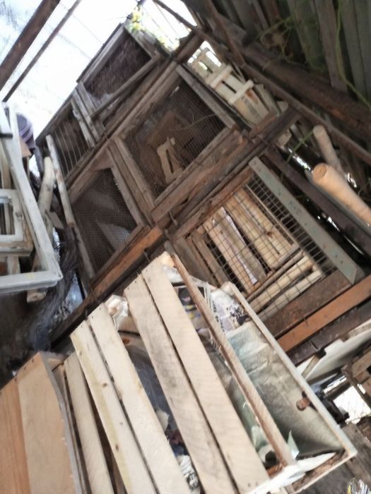 Утин сотаман,  срочно.