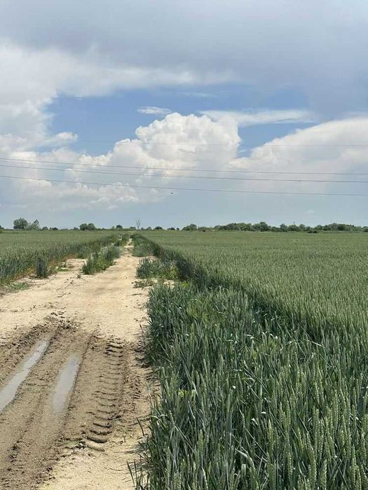 Продава се Парцел в Пловдив, Индустриална зона - Север - 33534 кв.м за 15 €/кв.м - Снимка #5