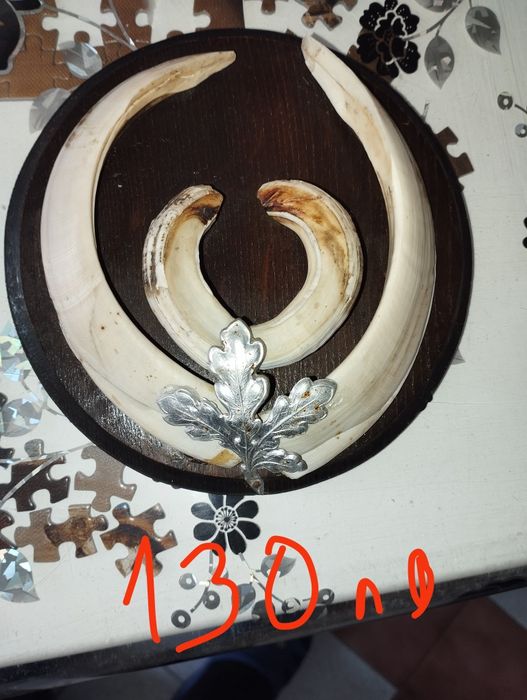 Красиви трофейи от елени