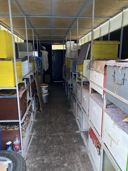 Vând remorcă apicolă, pavilion apicol 60 stupi omologat 3,5T