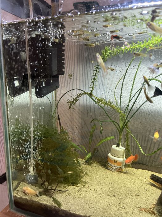 Продам аквариум с тумбочкой