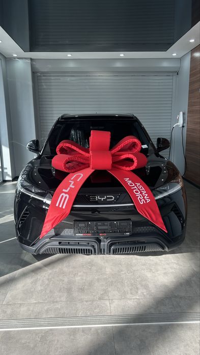 Byd yuan up ofisalniy