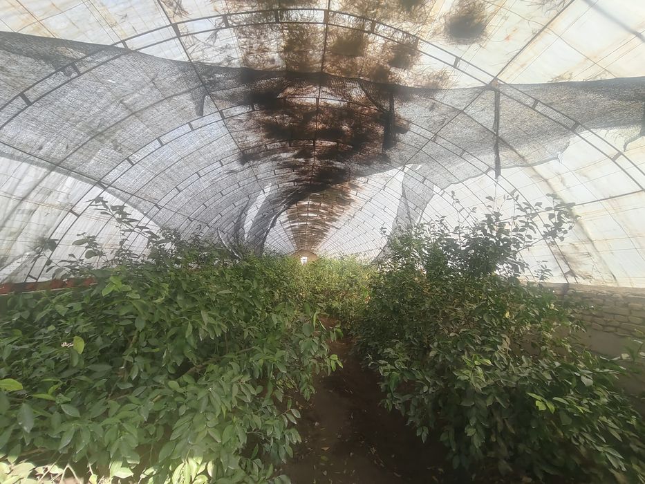 Нотурар ва Турар жой