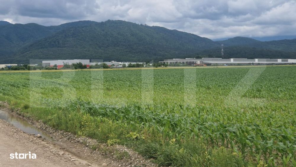 Teren extravilan posibilitate de a trece in intravilan zona de case NO