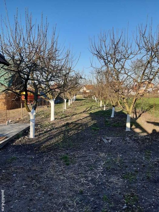 Vand Casa in Răscruci  Individuala