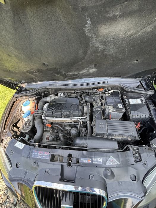 Seat Leon DPF 2010