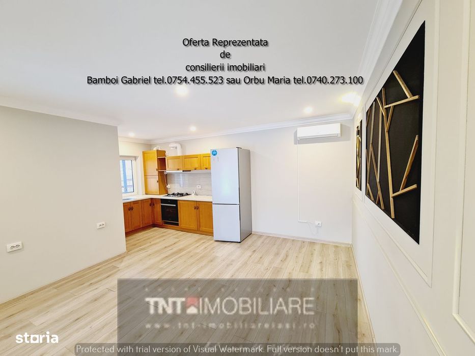 Resedinta individuală cu Arhitectură Modernă Capăt Păcurari