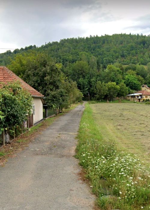 Teren intravilan 3554 mp in Negreni