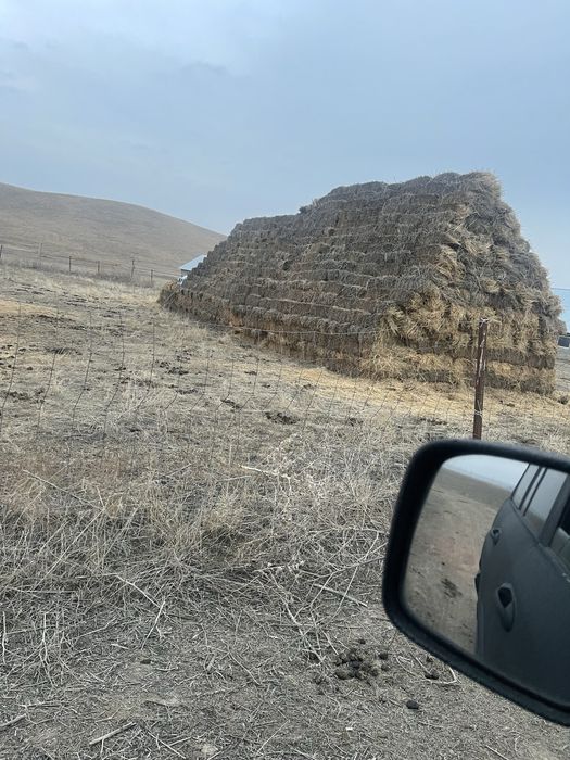 сено люцерн багасы келисимди