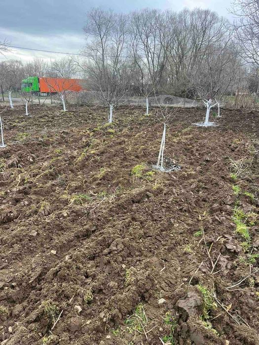 Продава се Парцел в София, Център - 780 кв.м за 41 €/кв.м - Снимка #5