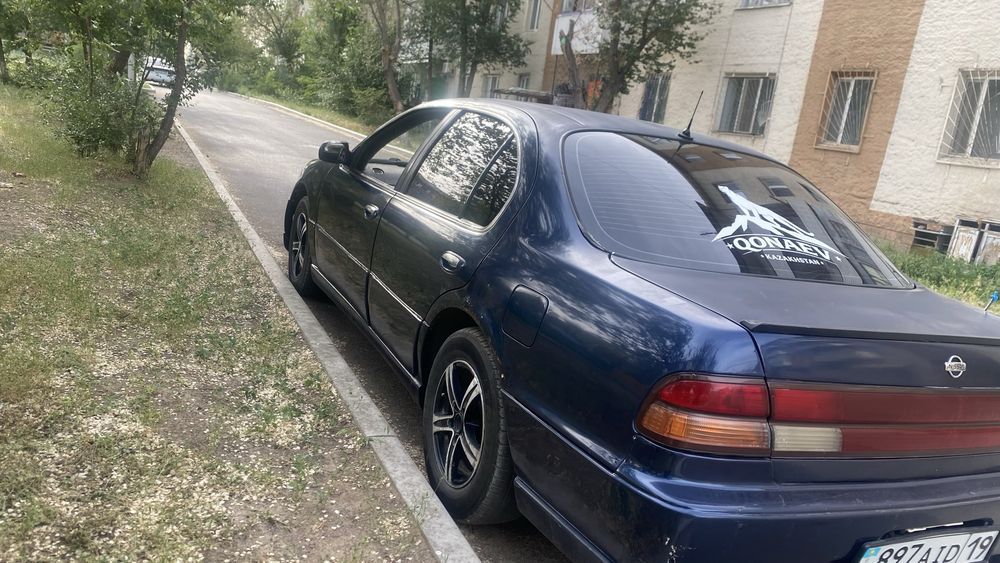 кондер истеп тур