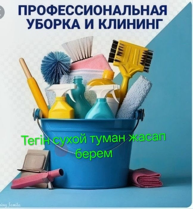 Профессиональная КЛИНИНГ