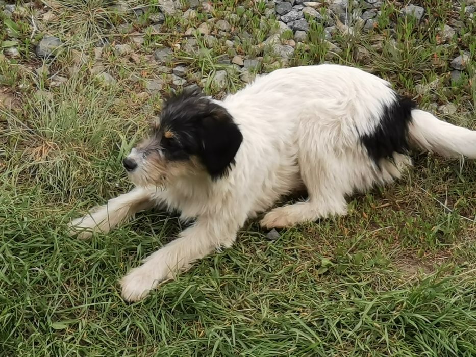 Только ответственным людям