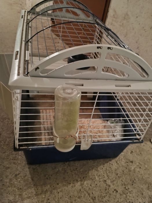 Клетка за гризачи