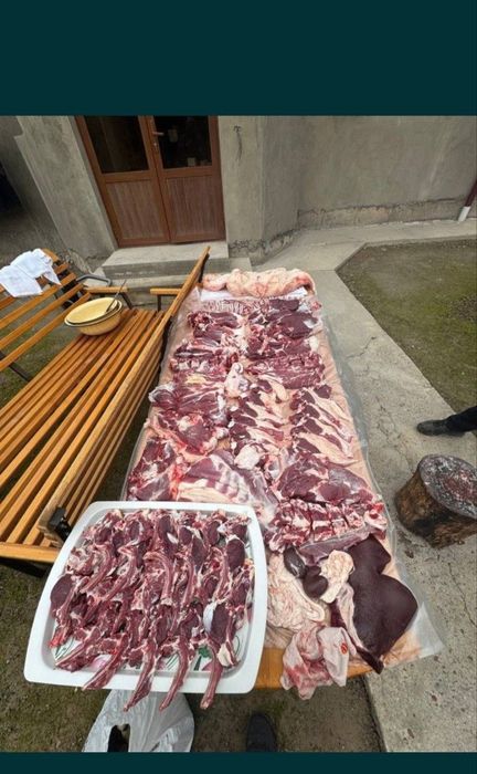 Qassob xizmati 25/7 aloqada