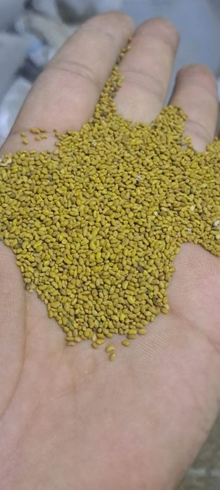 Aparatda ikki marta tozalangan