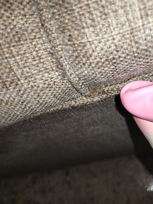 Дезинсекция , дератизация