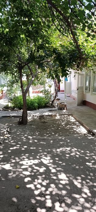 Сельхоз 5,3-соток.Срочно продаётся дом.